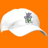 Low Profile Baseball Hat